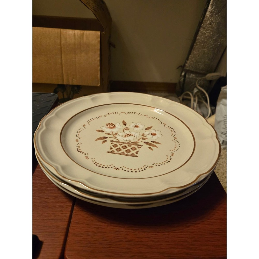 Cumberland by Hearthside Mayblossom Stoneware Dinner Plates Japan Brown Floral